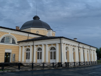 «Музеи родного края»