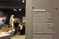 «Музеи родного края»