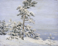 «Музеи родного края»
